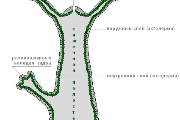 Кракен даркнет скачать