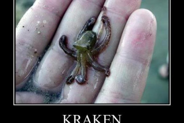 Актуальное зеркало kraken